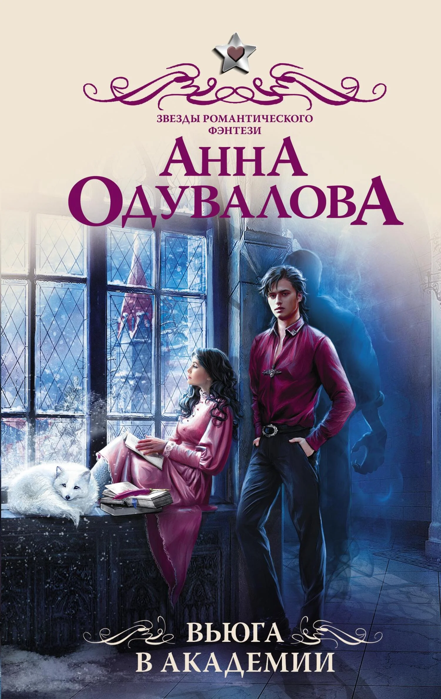 Обложка Вьюга в академии