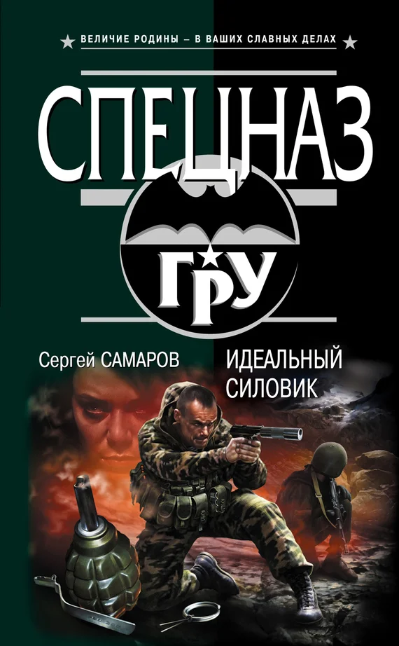 Обложка Идеальный силовик