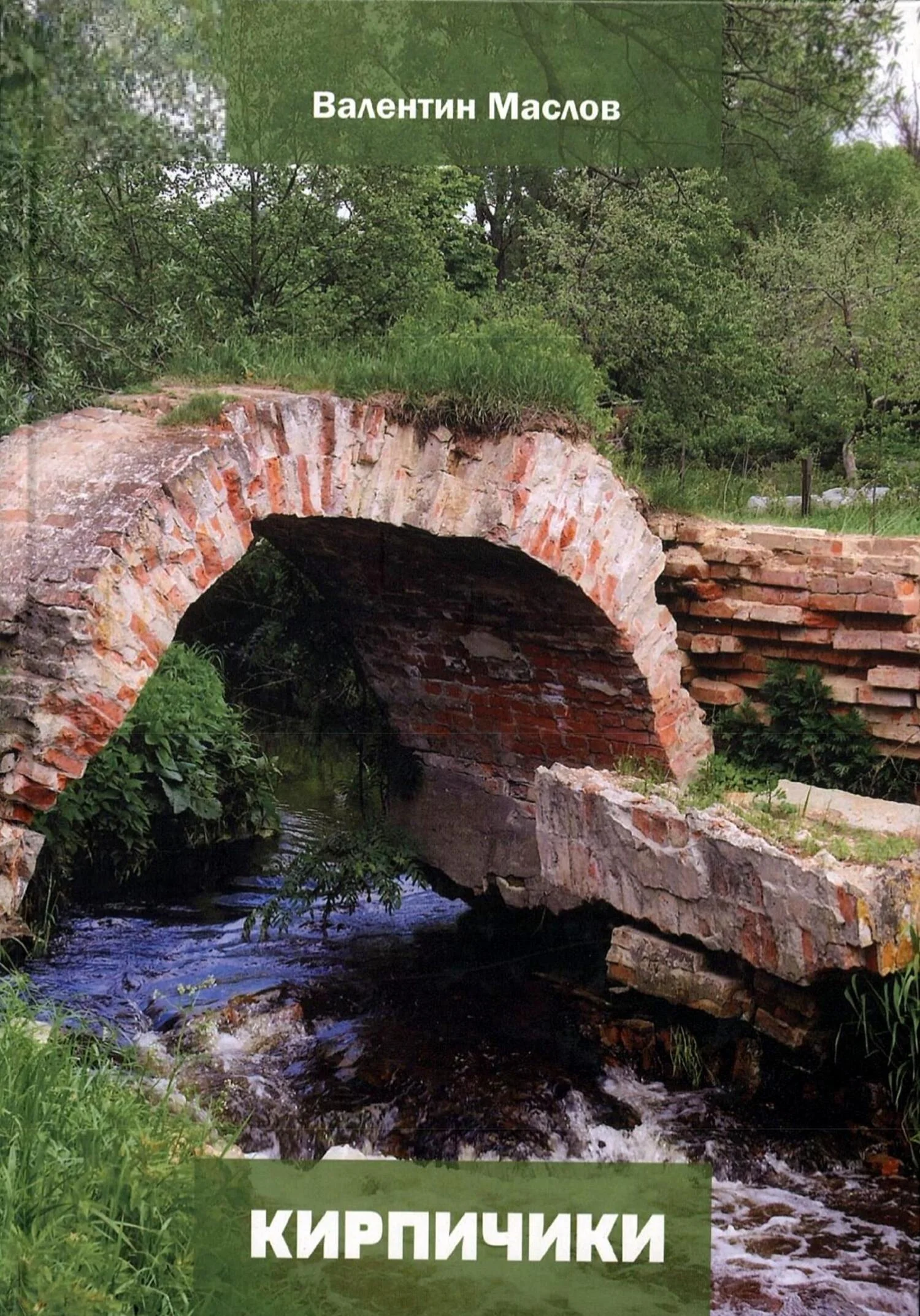 Обложка Кирпичики