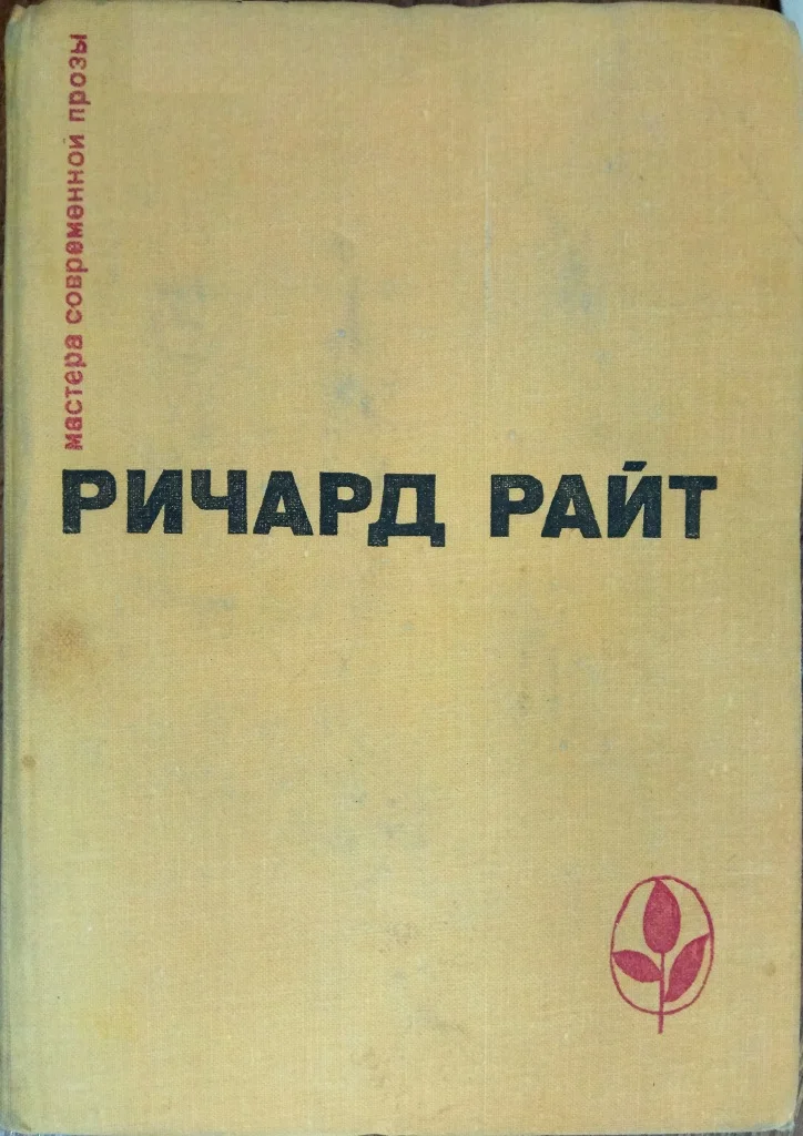 Обложка Почти мужчина. После наводнения