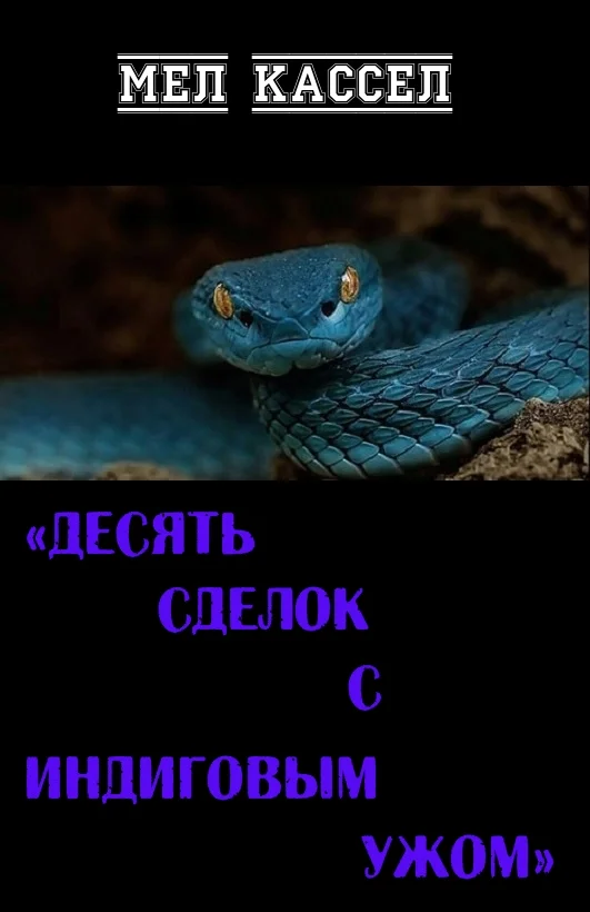 Обложка Десять сделок с индиговым ужом