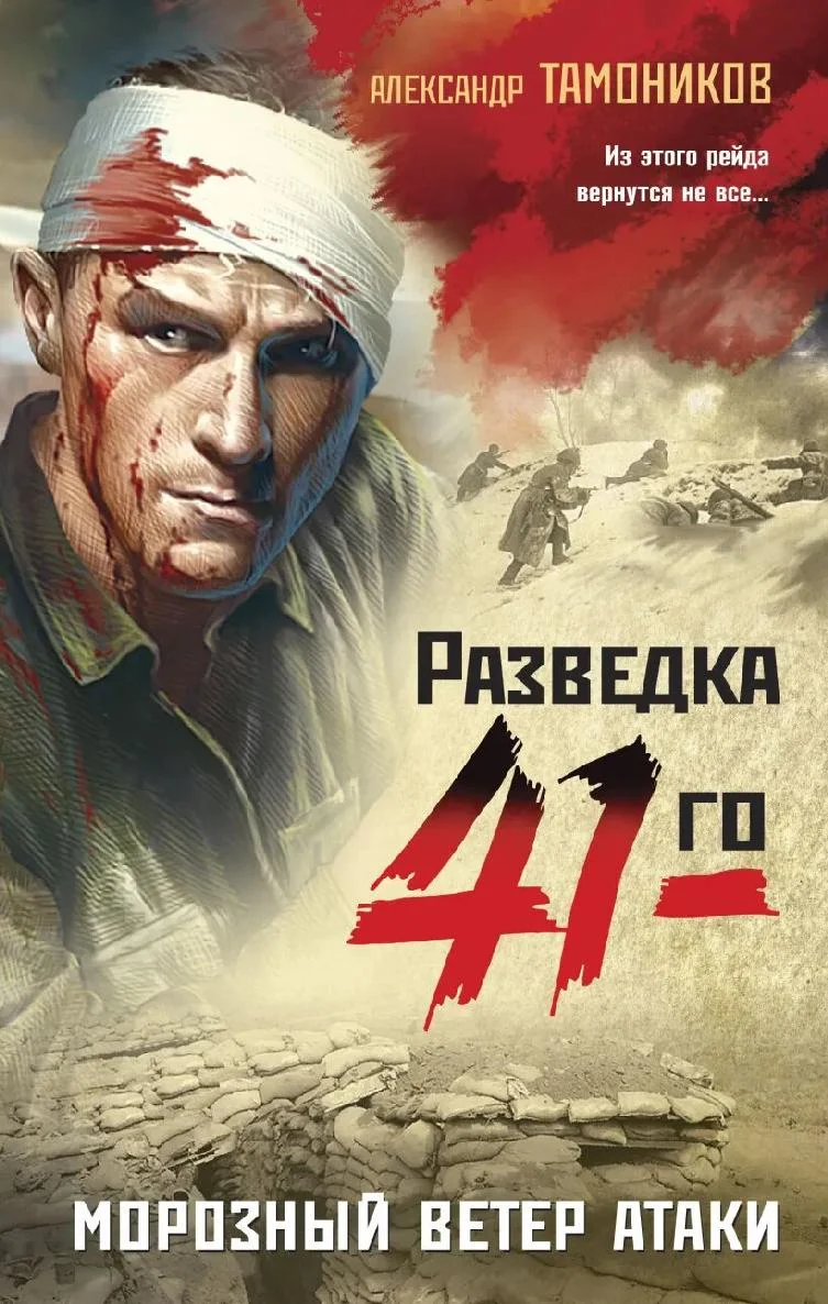 Обложка Морозный ветер атаки