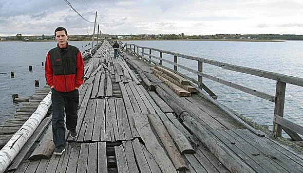 Обложка В голове моей опилки…