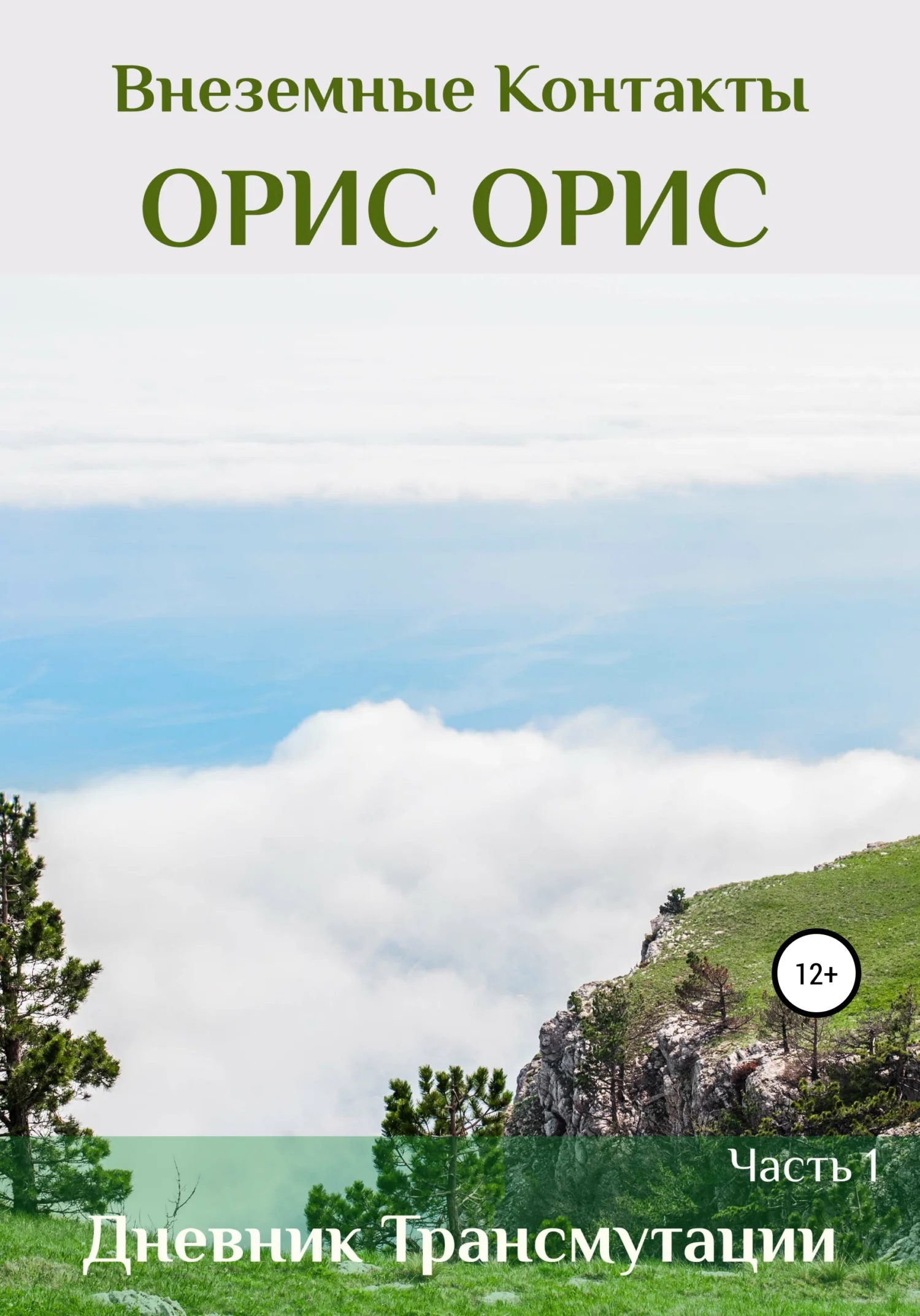 Обложка Дневник Трансмутации. Часть 1