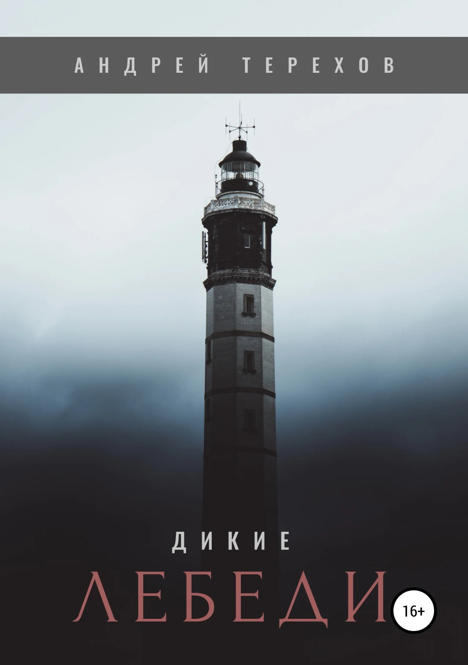 Обложка Дикие лебеди