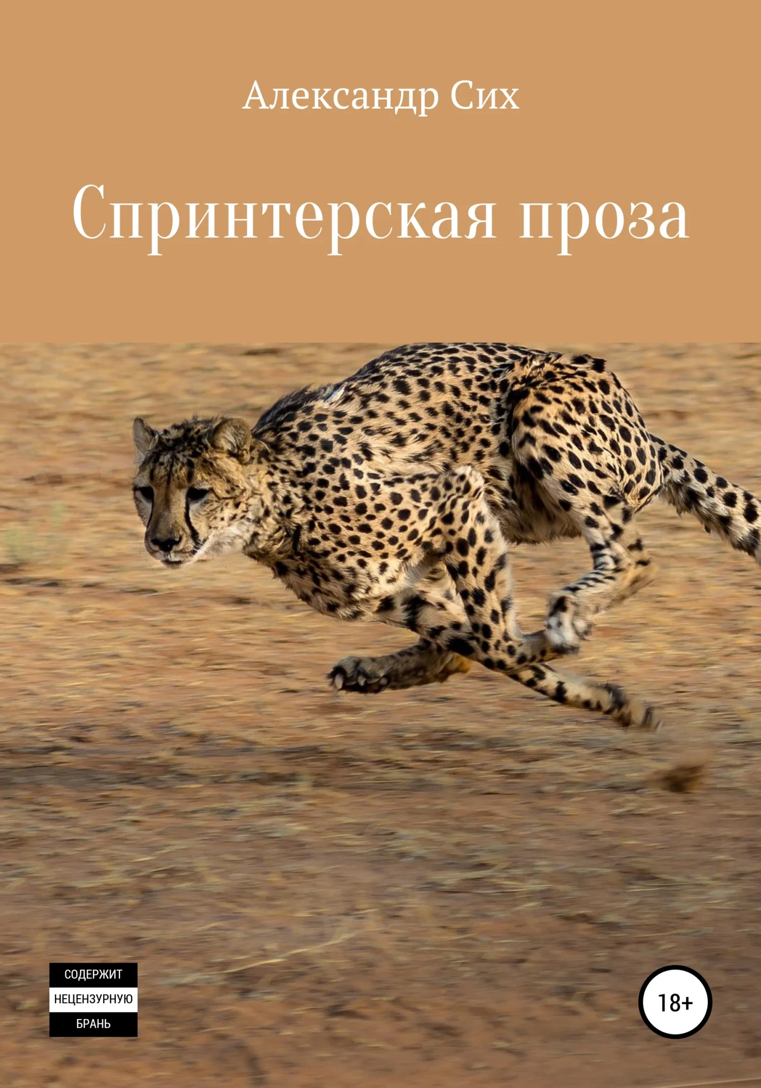 Обложка Спринтерская проза