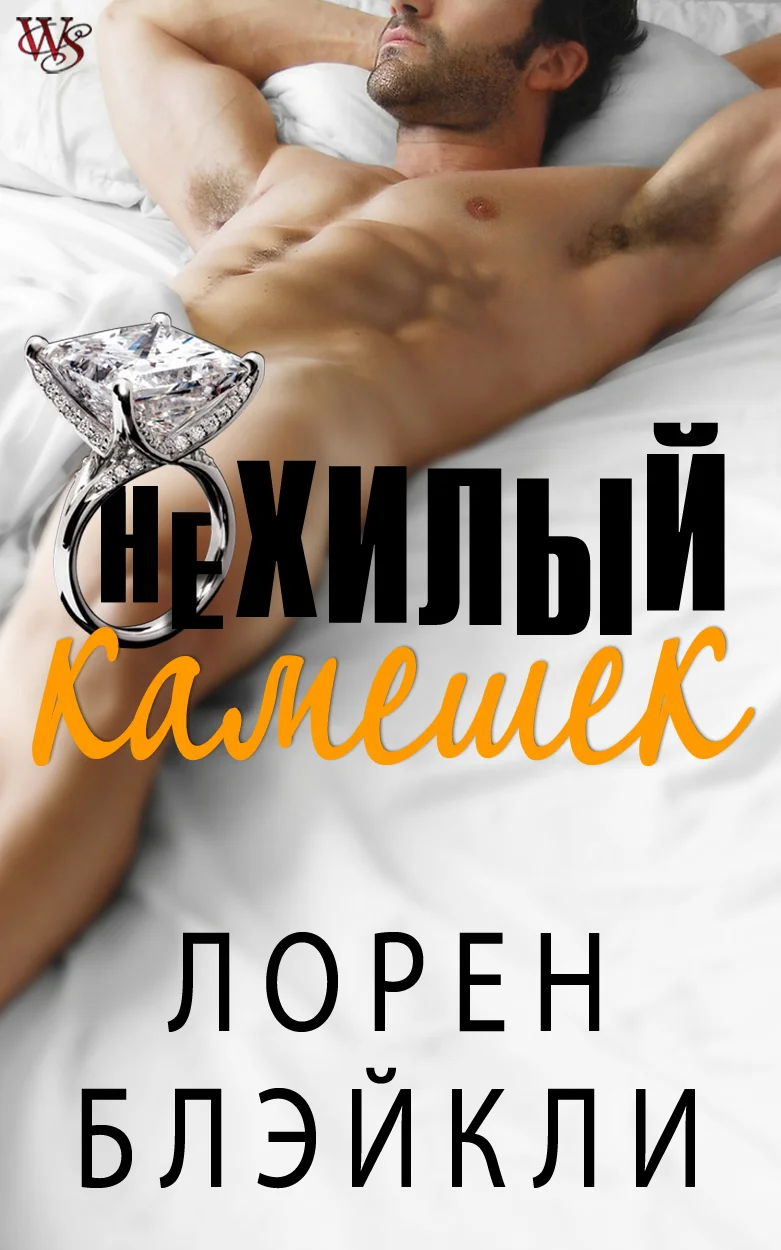 Обложка Нехилый камешек
