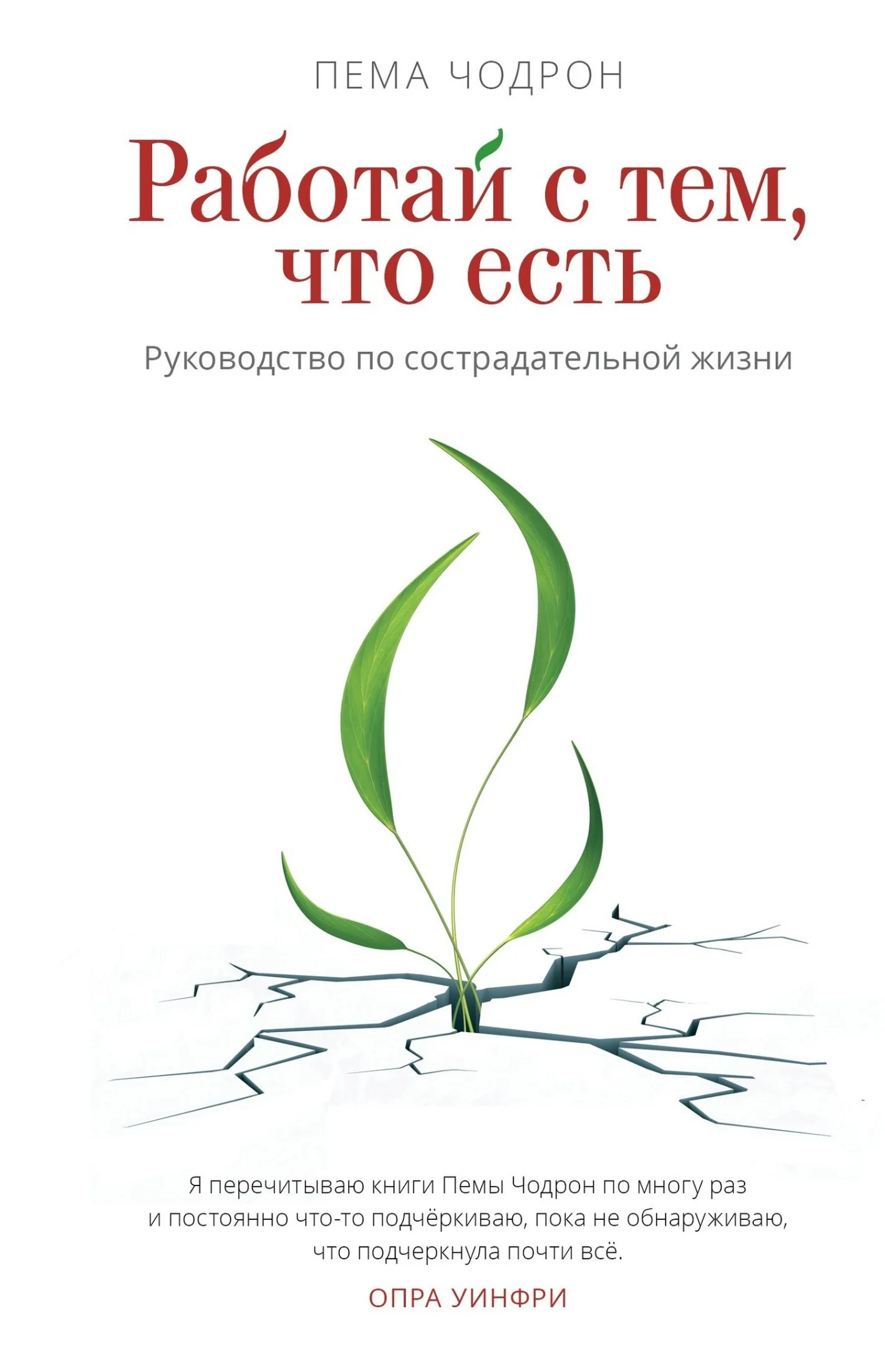 Обложка Работай с тем, что есть. Руководство по сострадательной жизни