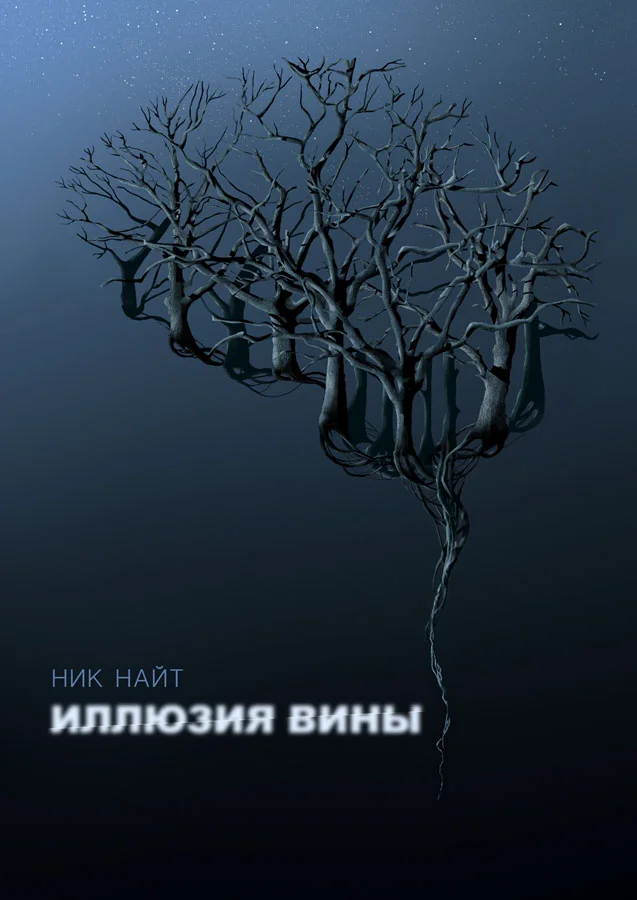 Обложка Иллюзия вины