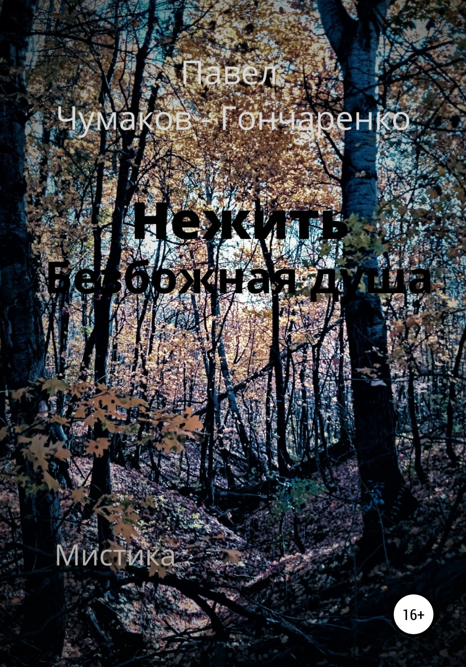 Обложка Нежить. Безбожная душа
