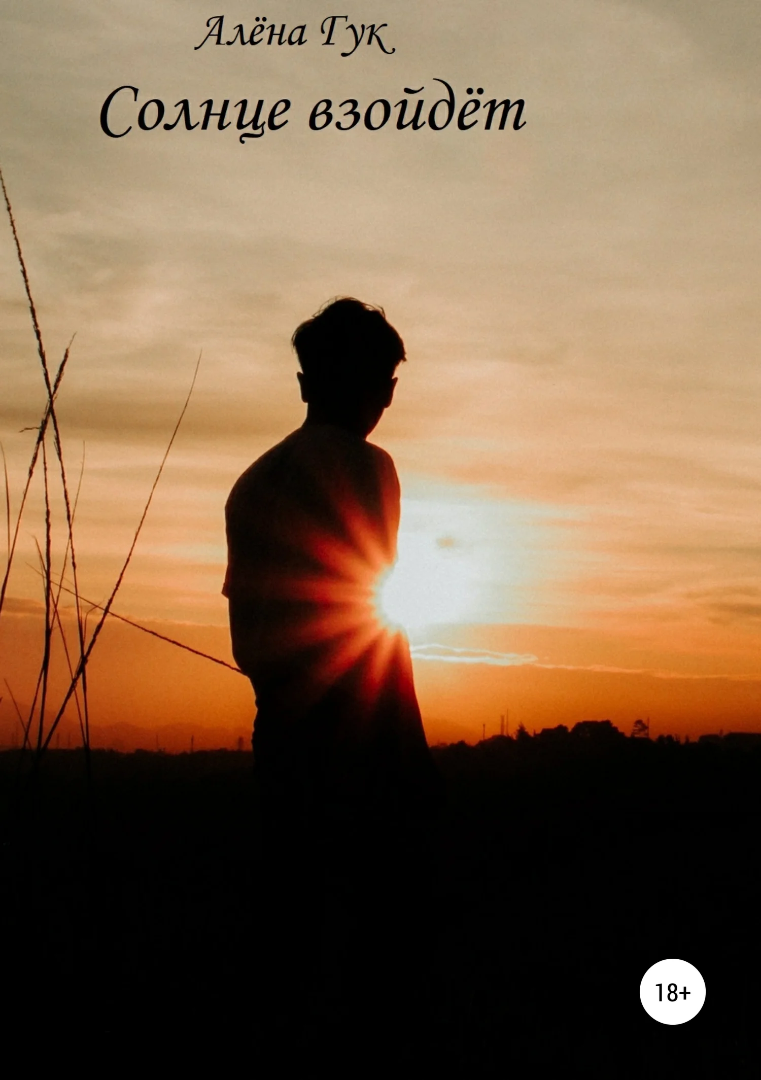 Обложка Солнце взойдёт