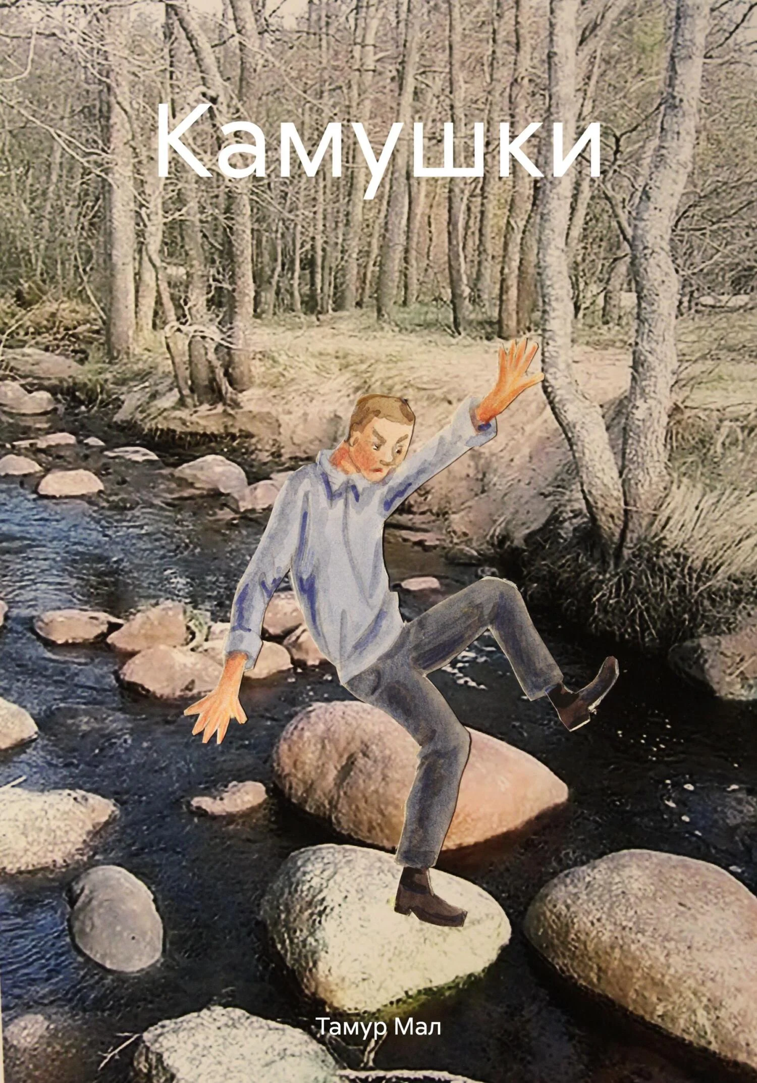 Обложка Камушки