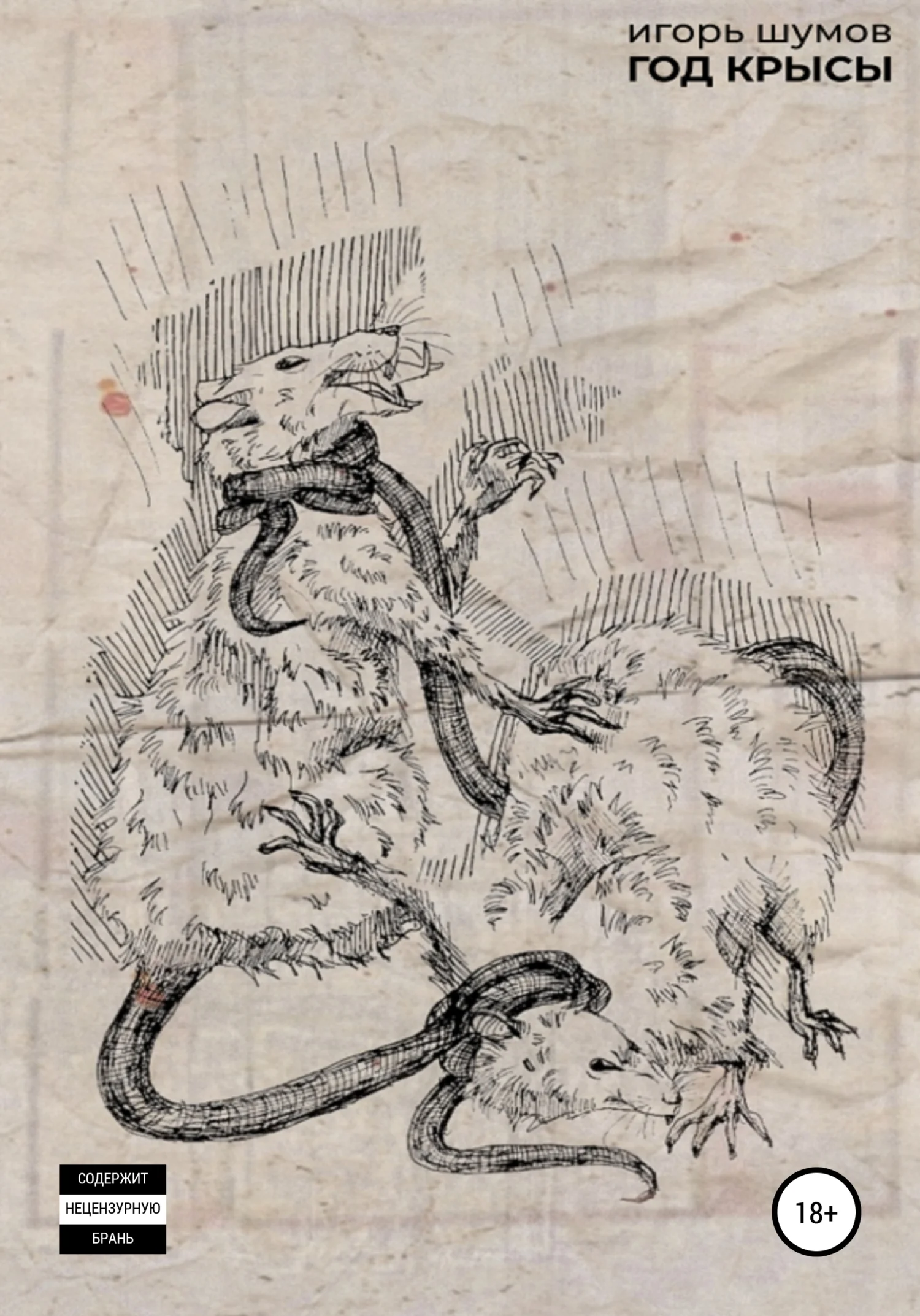 Обложка Год Крысы