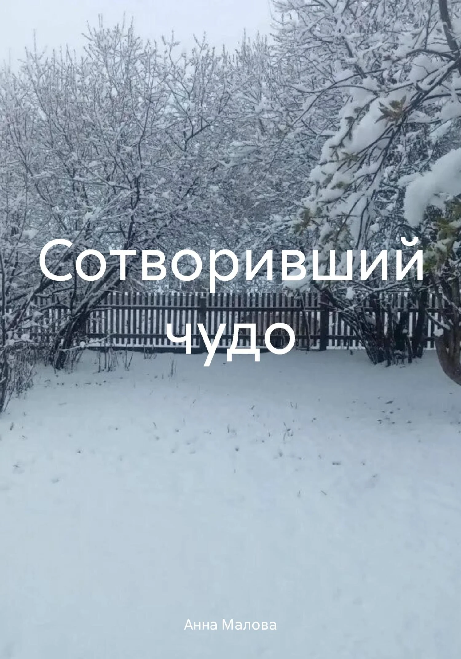 Обложка Сотворивший чудо