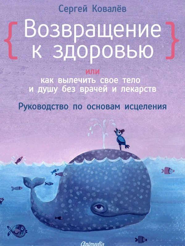 Обложка Возвращение к здоровью, или Как вылечить свое тело и душу без врачей и лекарств. Руководство по основам исцеления