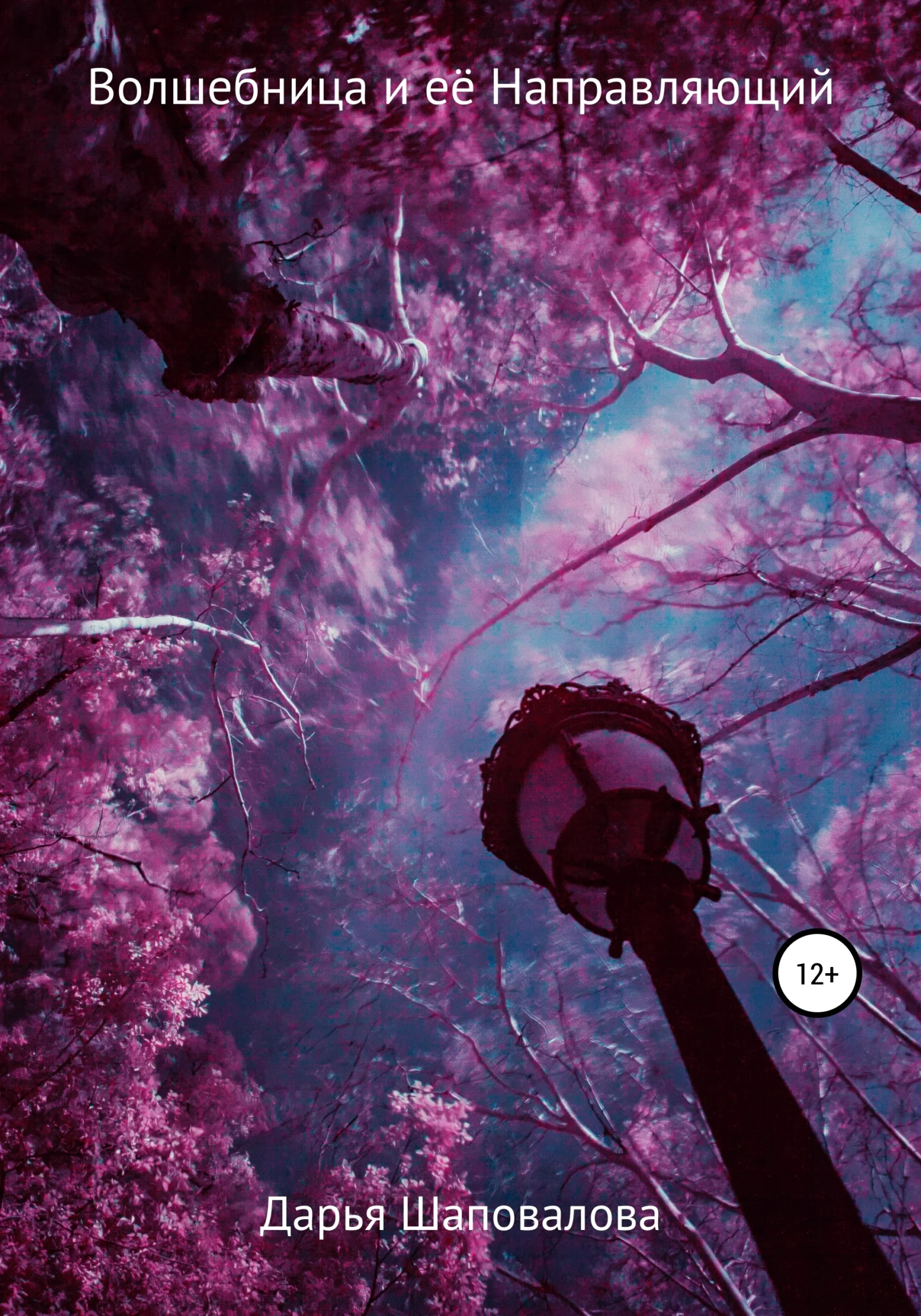 Обложка Волшебница и её Направляющий