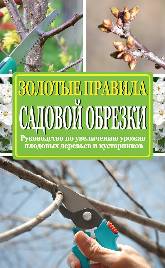 Обложка Золотые правила садовой обрезки. Руководство по увеличению урожая плодовых деревьев и кустарников