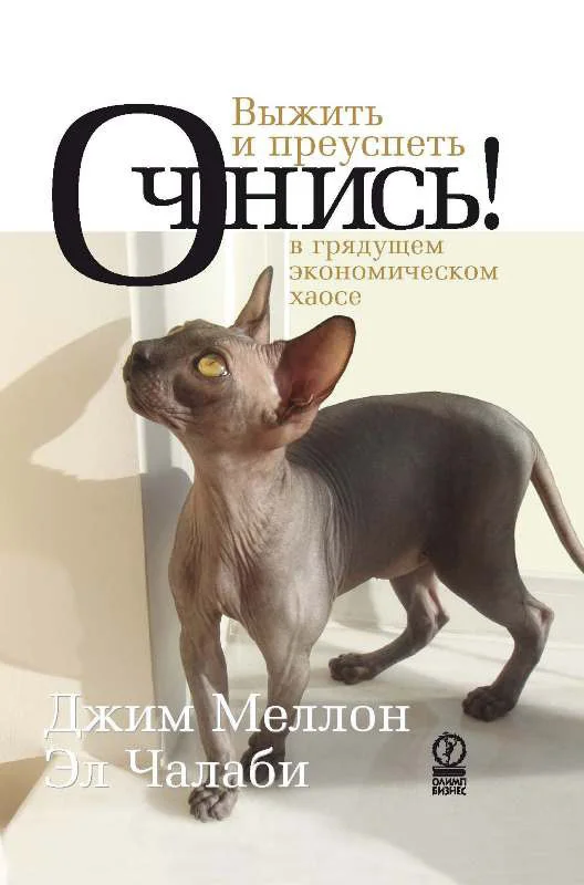 Обложка Очнись! Выжить и преуспеть в грядущем экономическом хаосе
