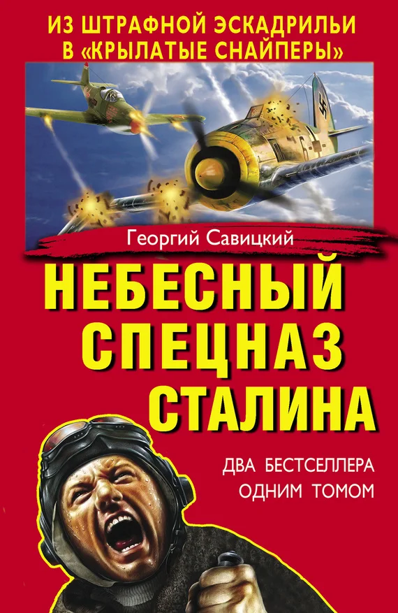 Обложка Небесный спецназ Сталина