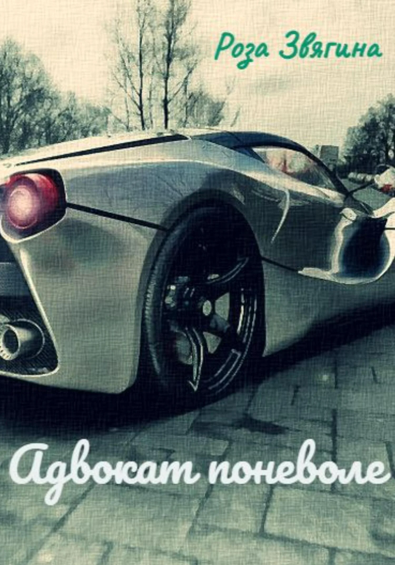 Обложка Адвокат поневоле