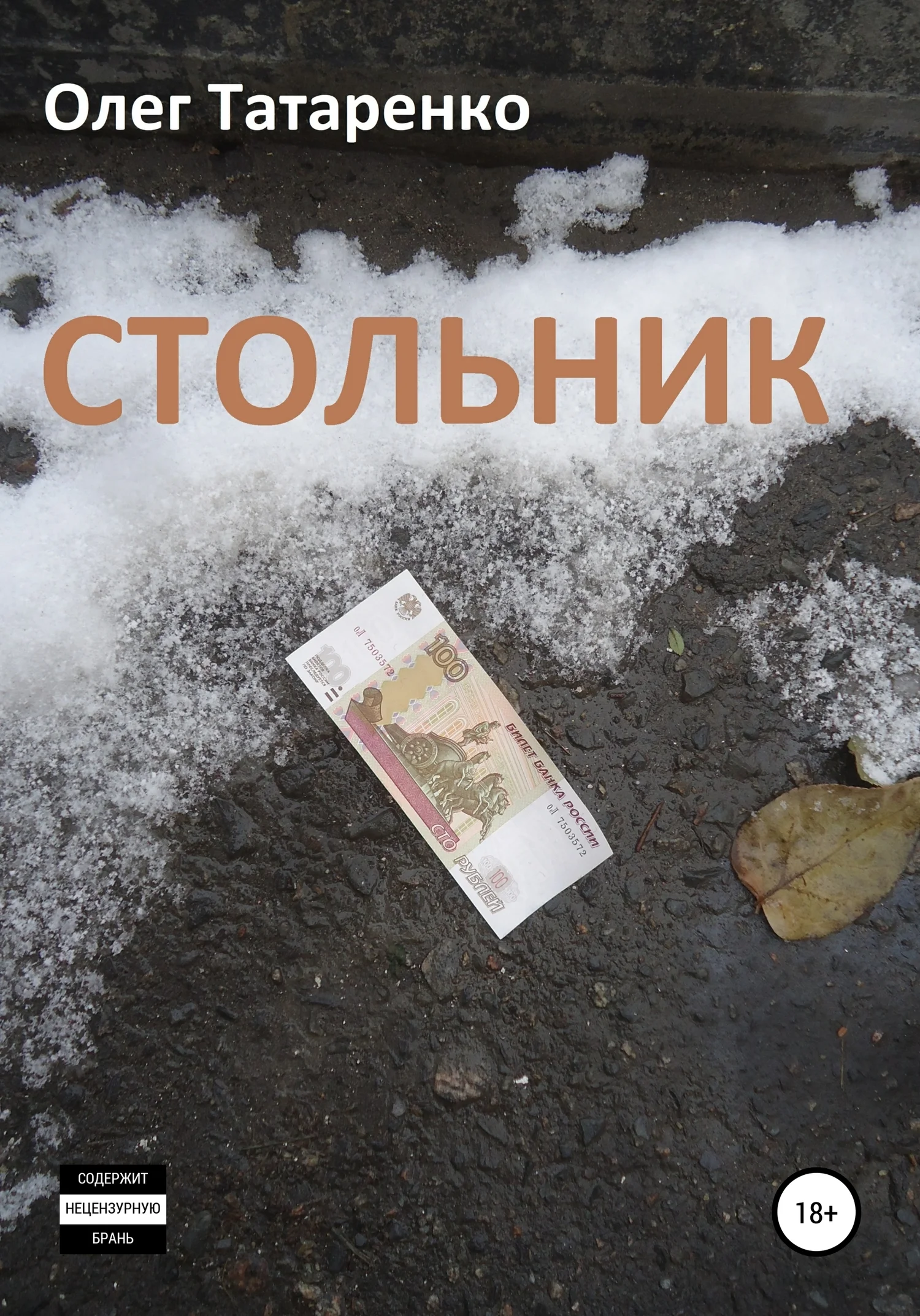 Обложка Стольник