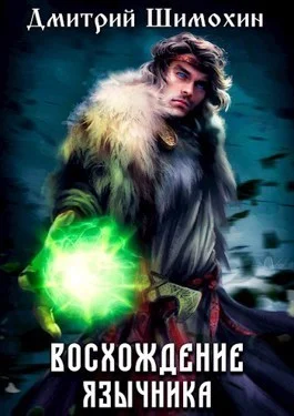Обложка Восхождение язычника 1