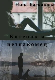 Обложка Котенок и незнакомец