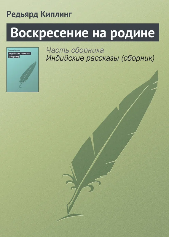 Обложка Воскресение на родине