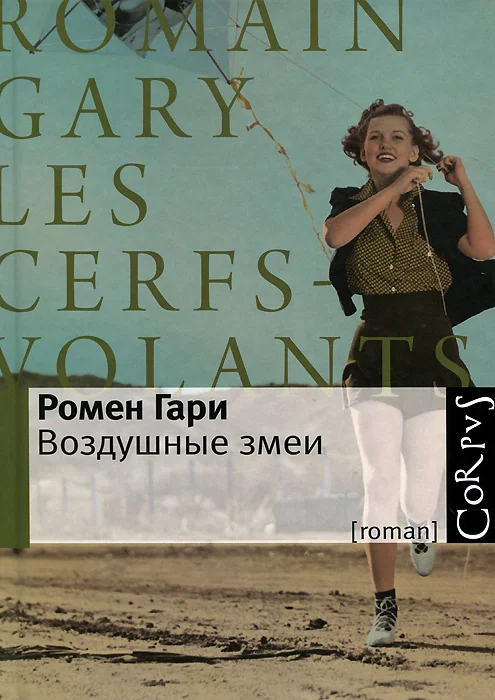 Обложка Воздушные змеи