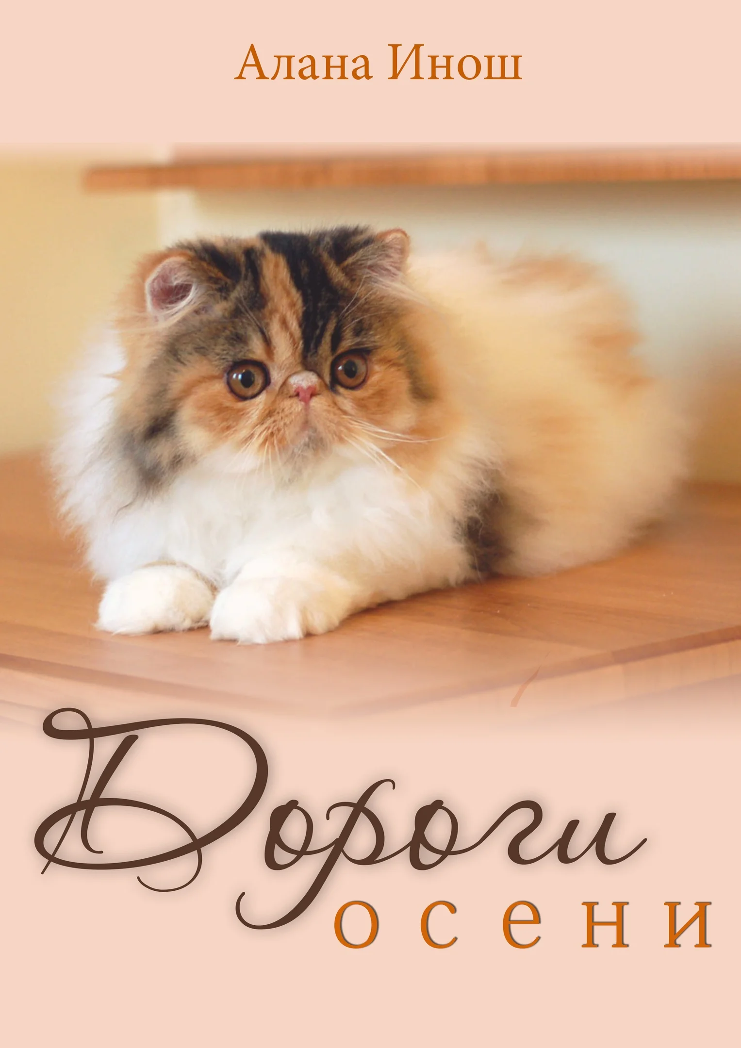 Обложка Дороги осени