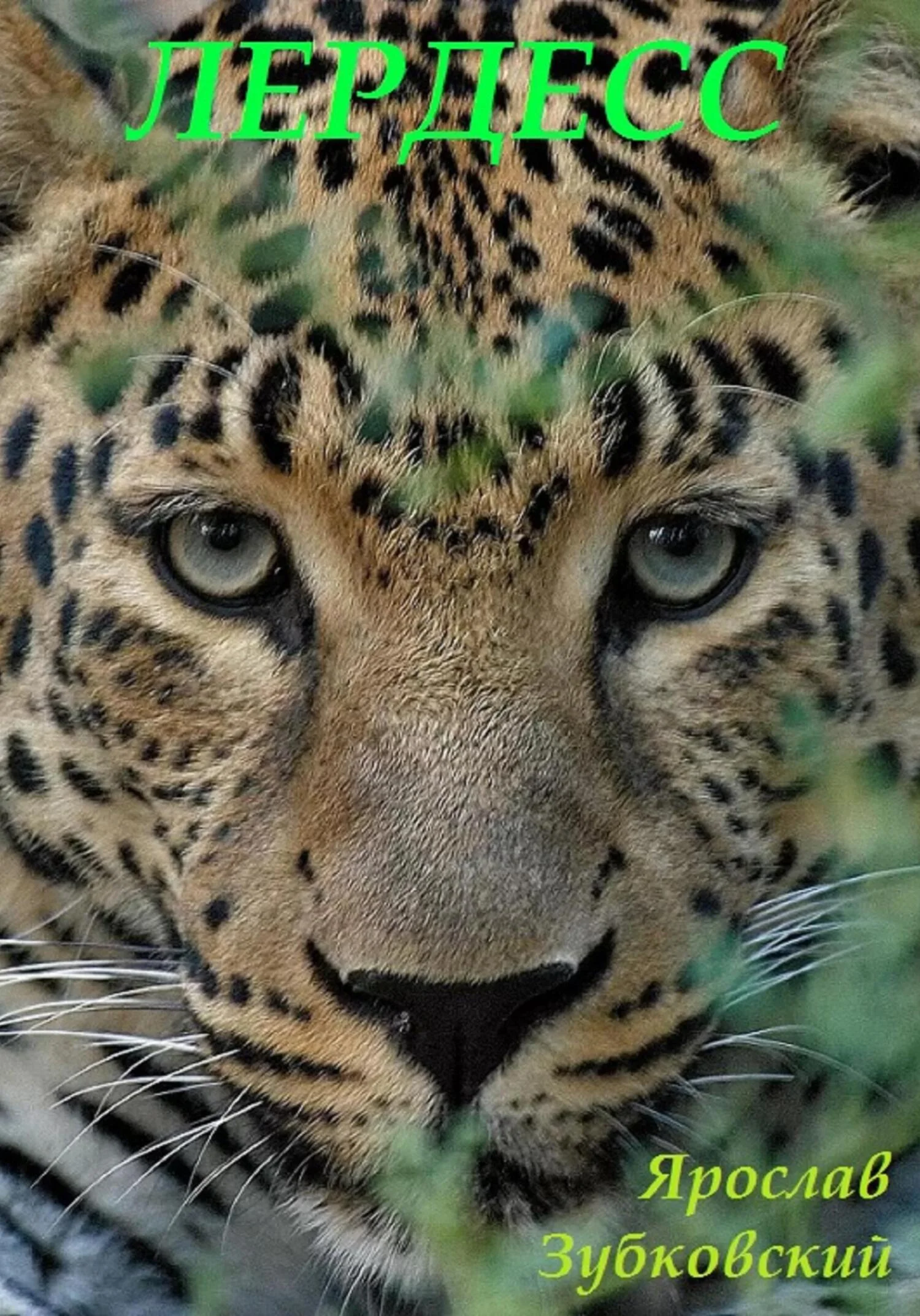 Обложка Лердесс