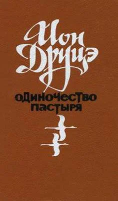 Обложка Одиночество пастыря