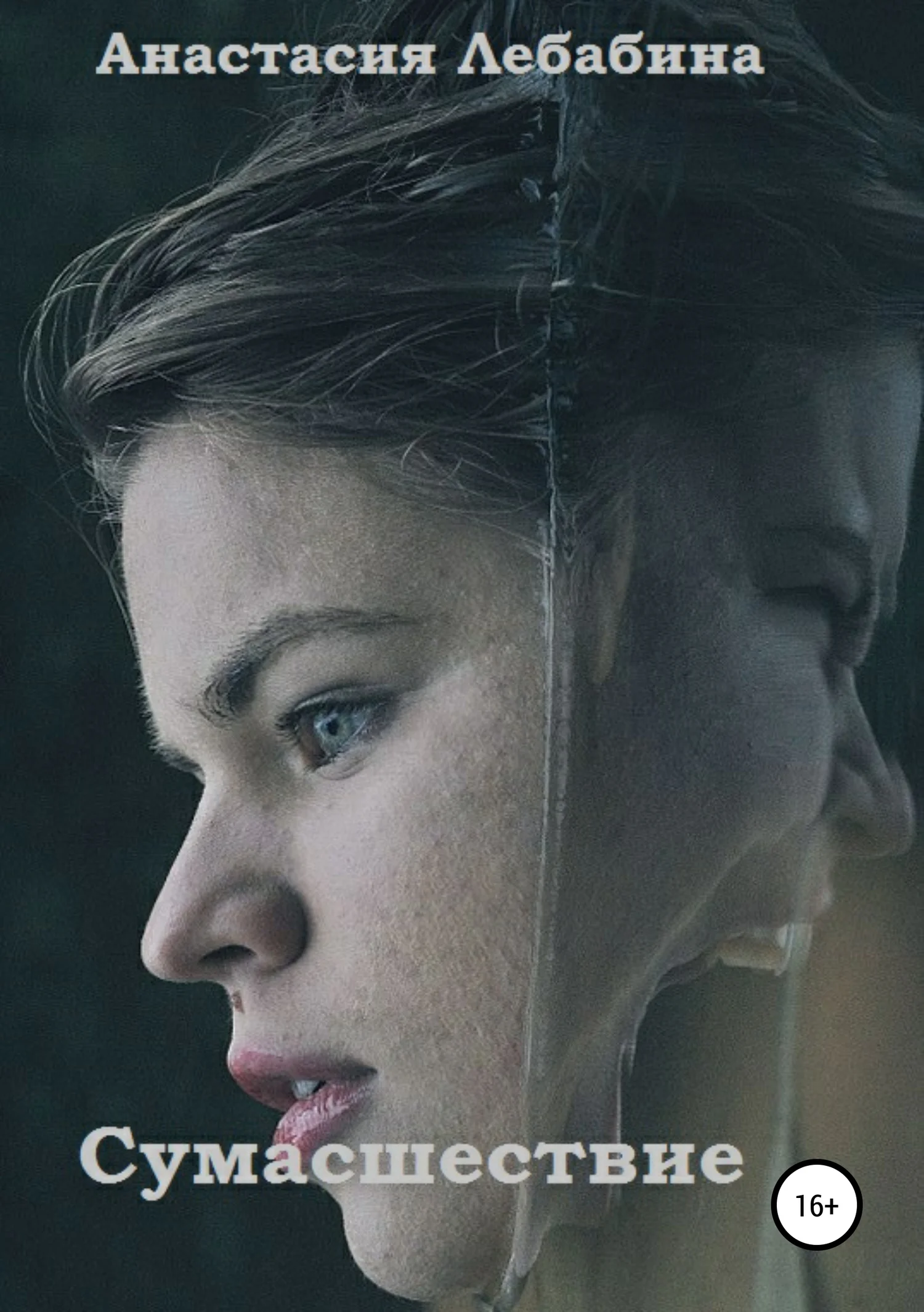 Обложка Сумасшествие