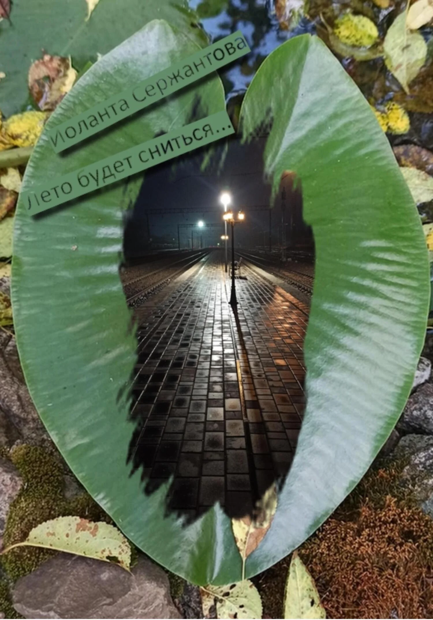 Обложка Лето будет сниться…