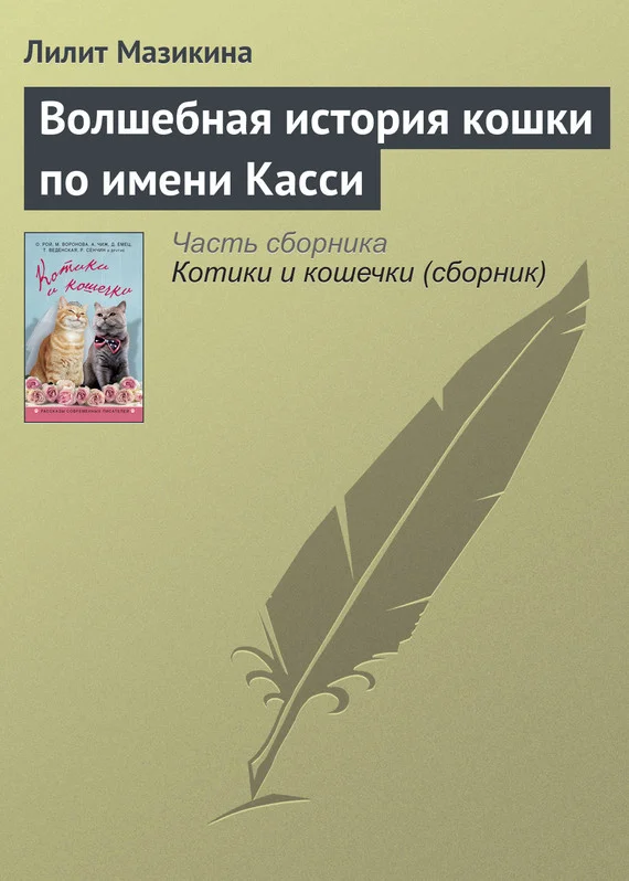 Обложка Волшебная история кошки по имени Касси