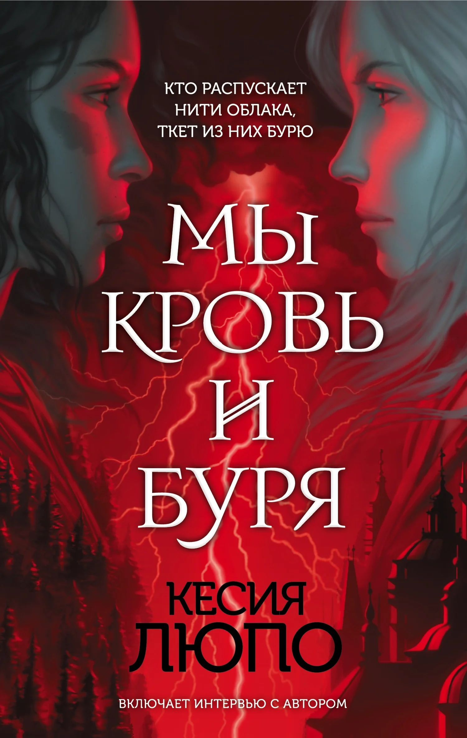Обложка Мы – кровь и буря