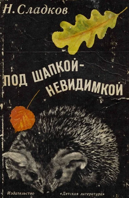 Обложка Под шапкой-невидимкой