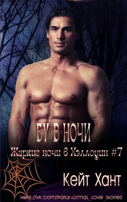 Обложка Бу в ночи