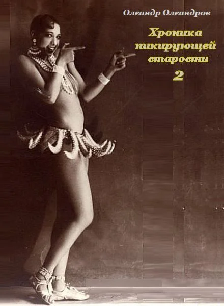 Обложка Хроника пикирующей старости – 2