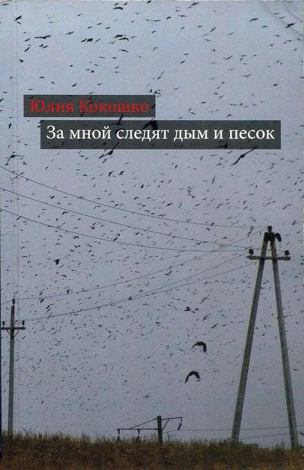 Обложка За мной следят дым и песок