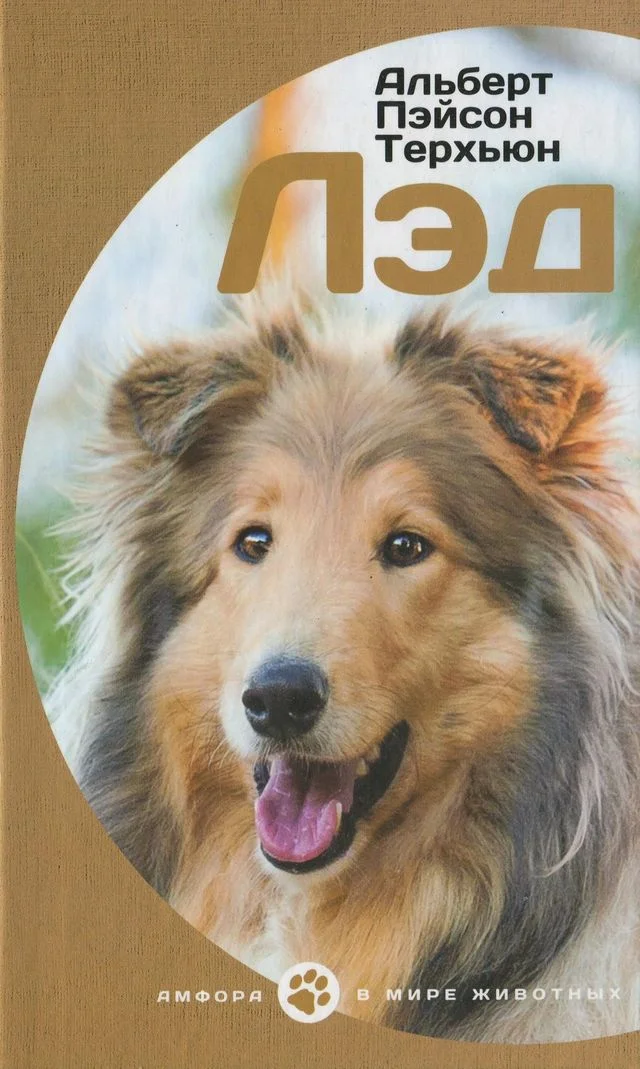 Обложка Лэд