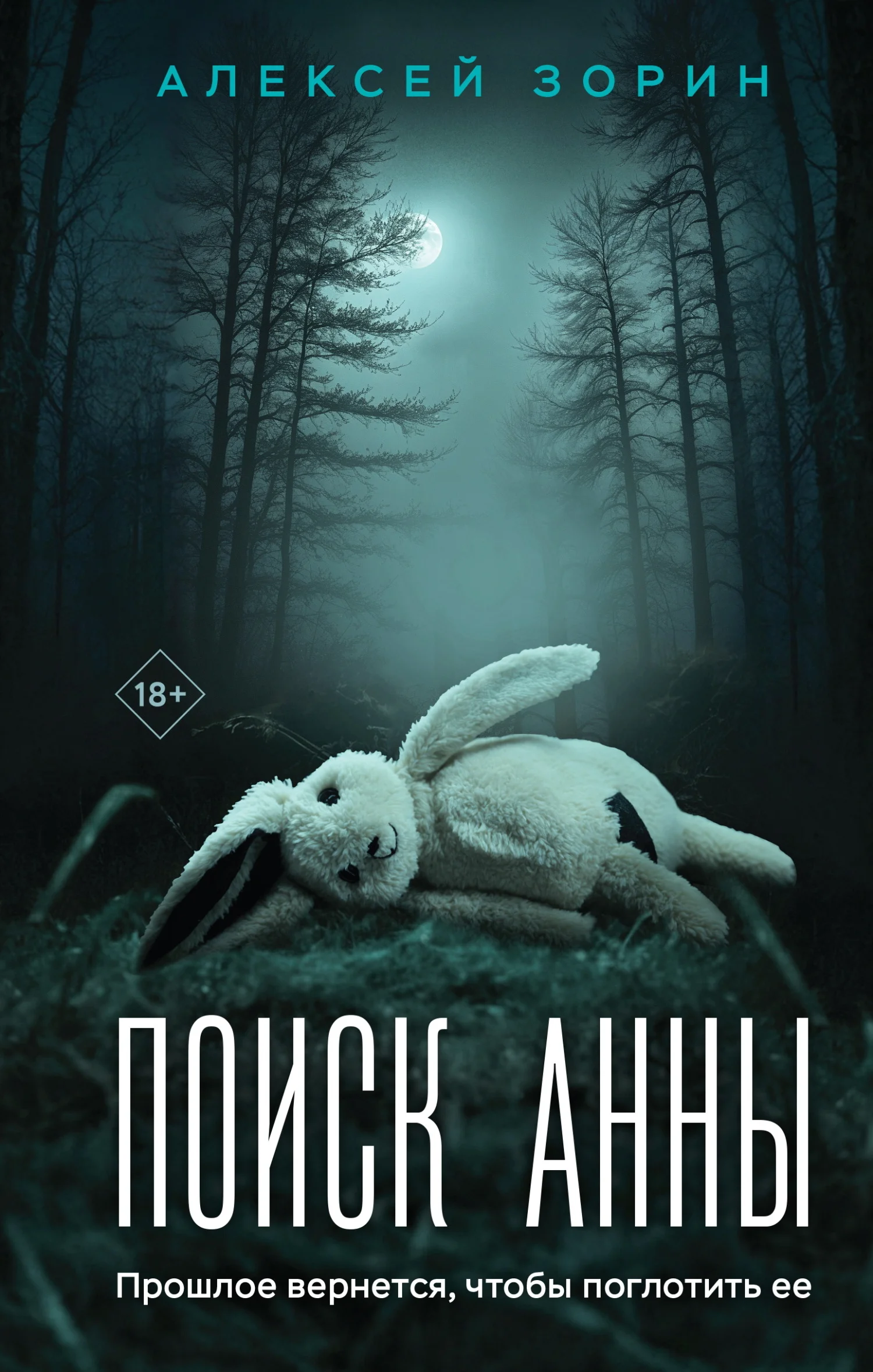 Обложка Поиск Анны