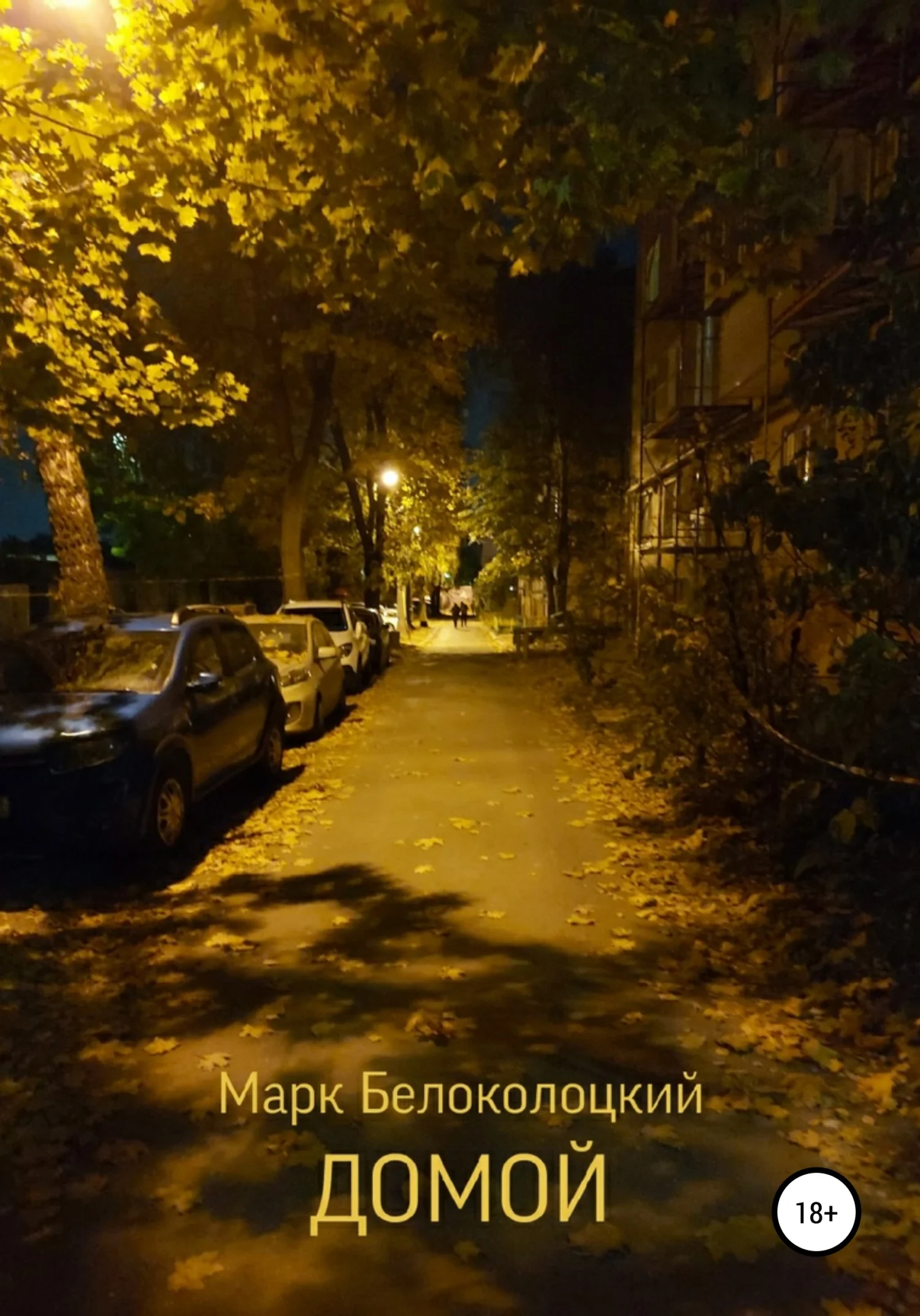 Обложка Домой