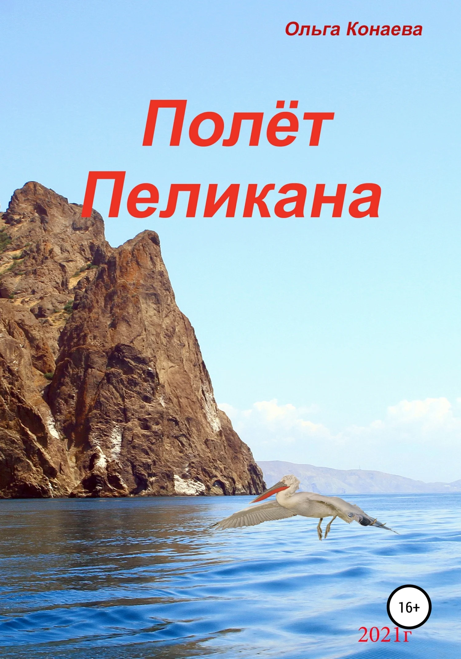 Обложка Полёт пеликана
