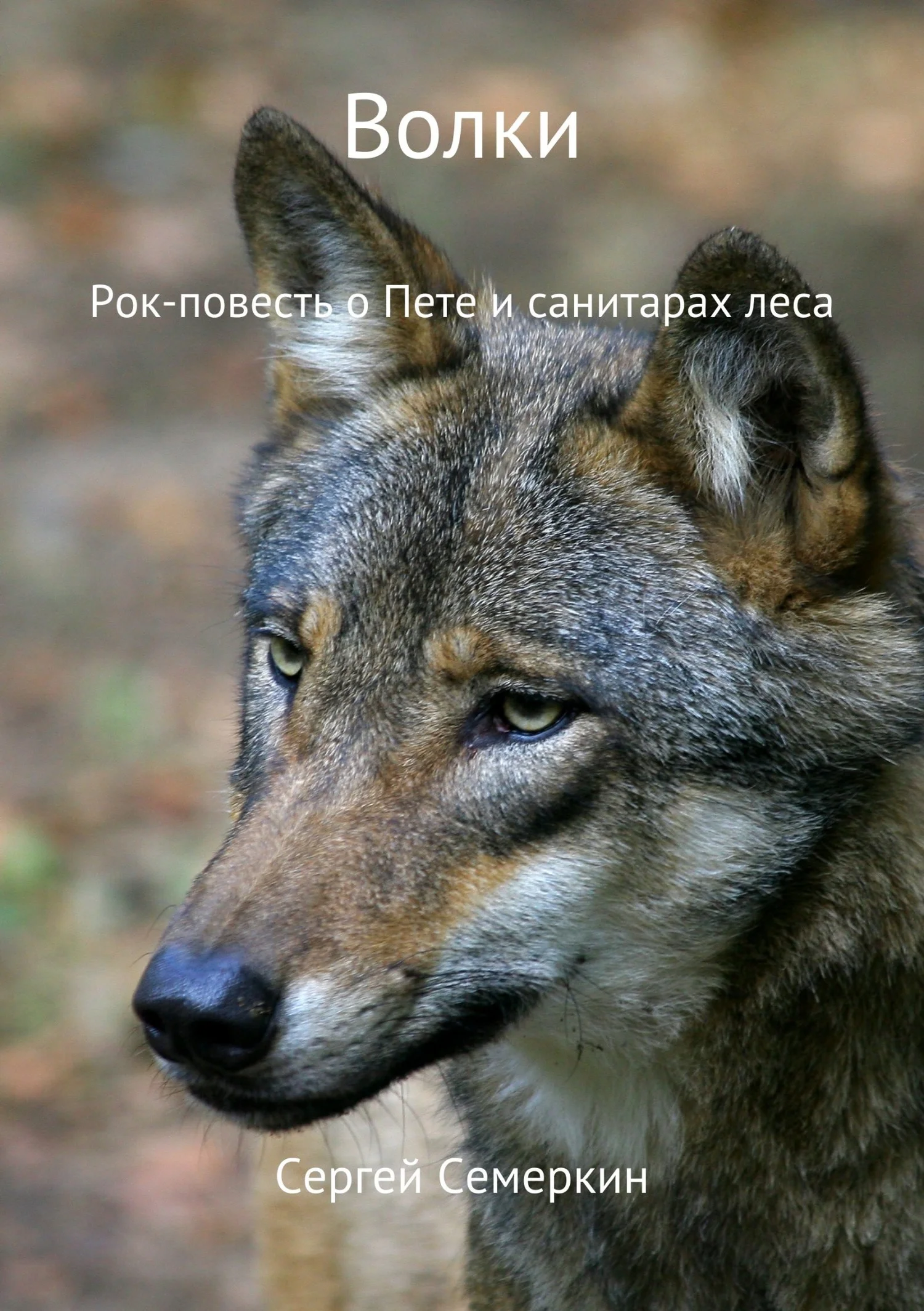 Обложка Волки