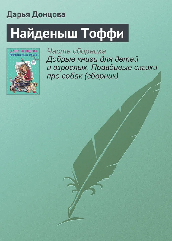 Обложка Найденыш Тоффи
