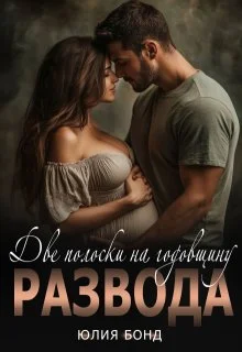 Обложка Две полоски на годовщину развода