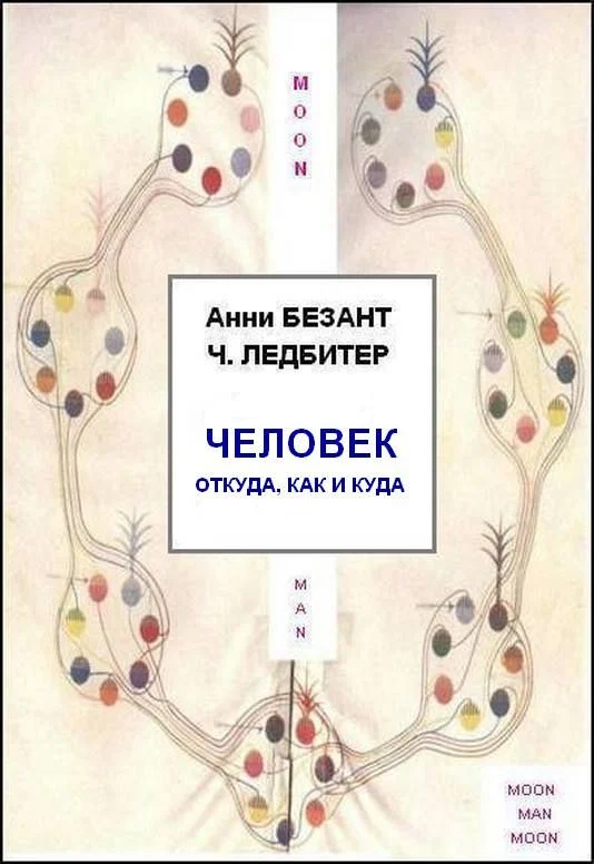 Обложка Человек: откуда, как и куда