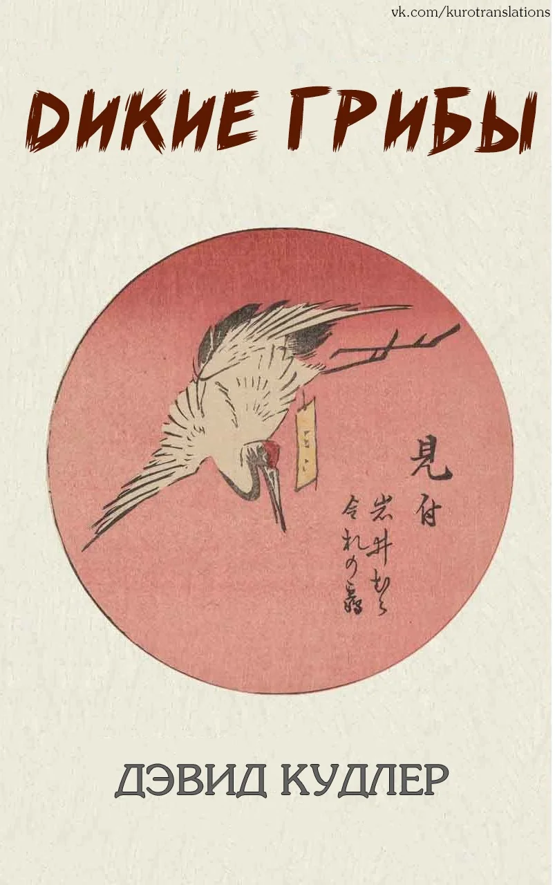 Обложка Дикие грибы