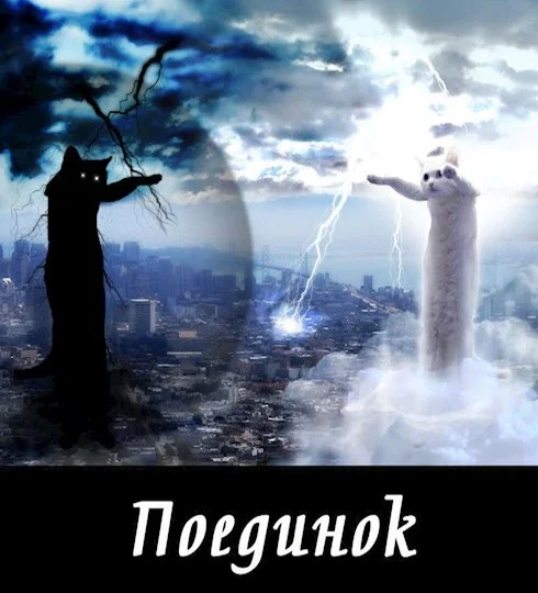 Обложка Поединок